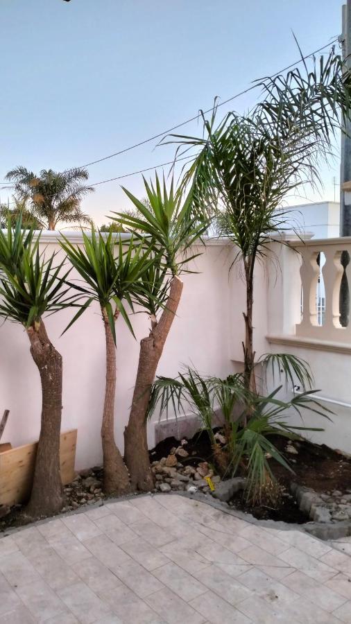 Casa Antonio E Nicoletta Villa Porto Cesareo Eksteriør bilde