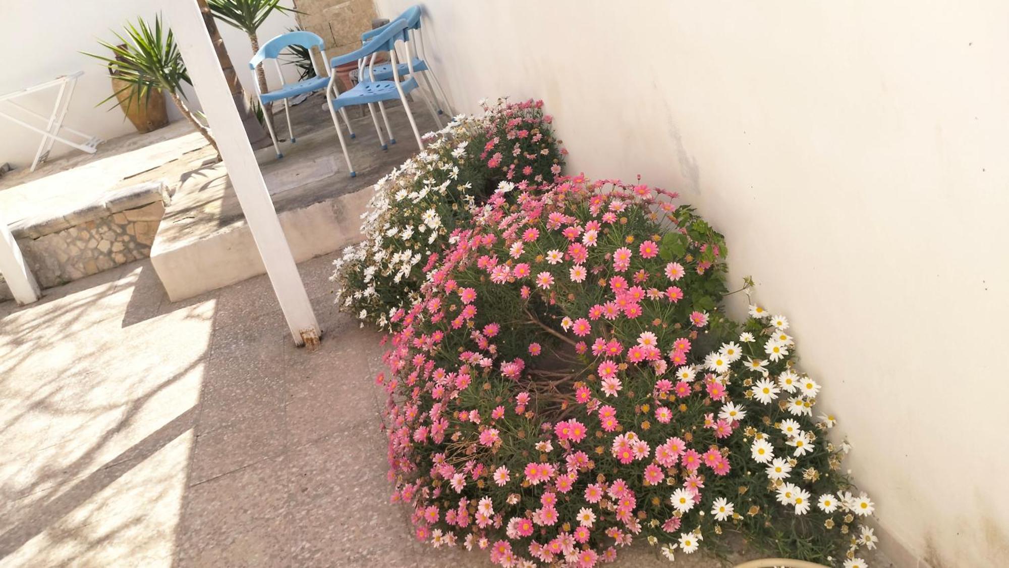 Casa Antonio E Nicoletta Villa Porto Cesareo Eksteriør bilde